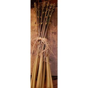 11 Rubber flower stalks and grasses, 25 inches...11 pieces  Use alone or in a va